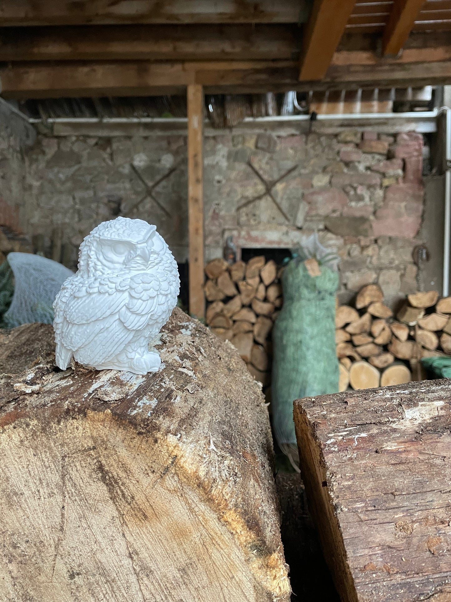 HEDWIG Eule