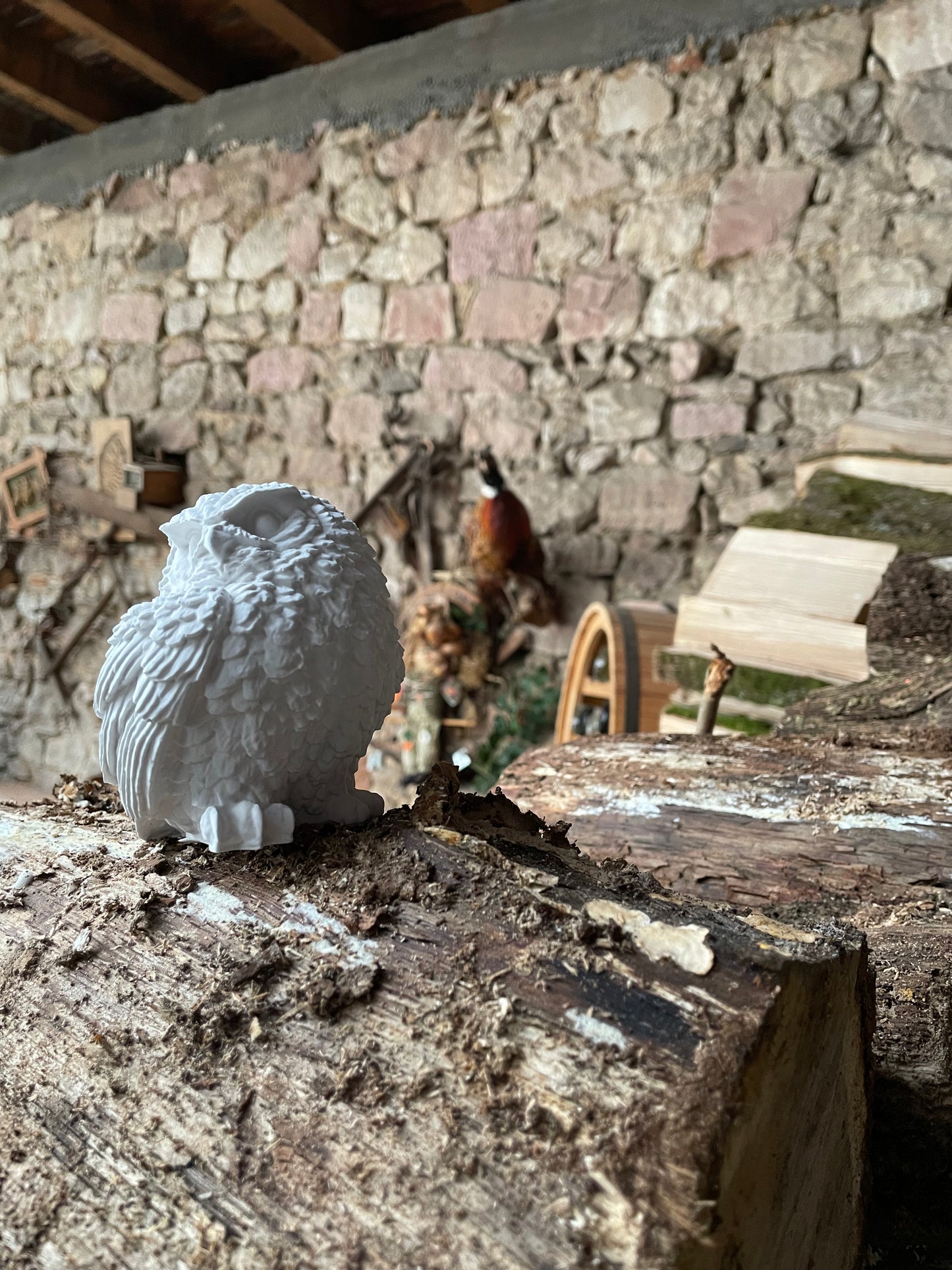 HEDWIG Eule